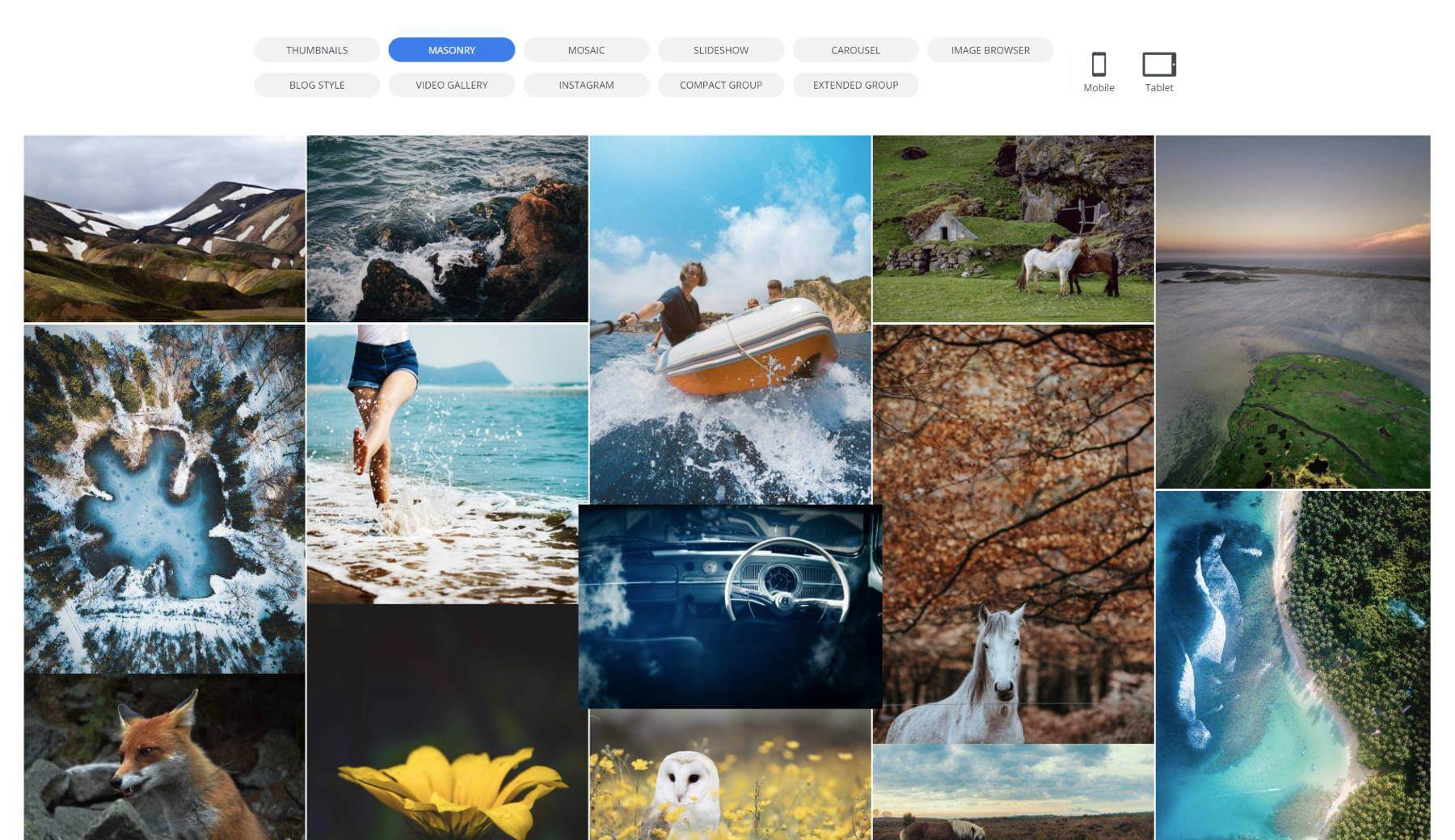 7 Top WordPress Gallery Plugins to Showcase Your Images